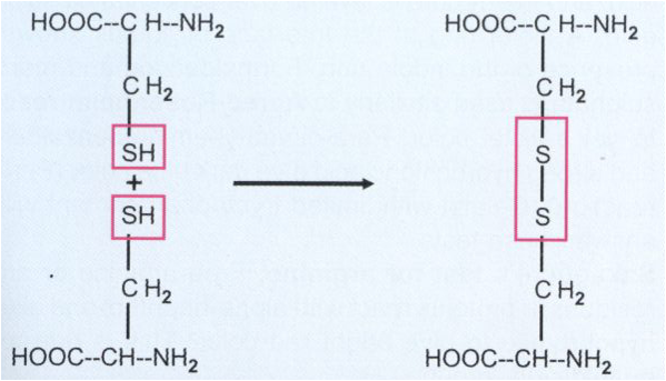 eq12