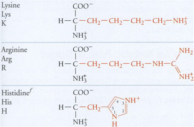 eq14