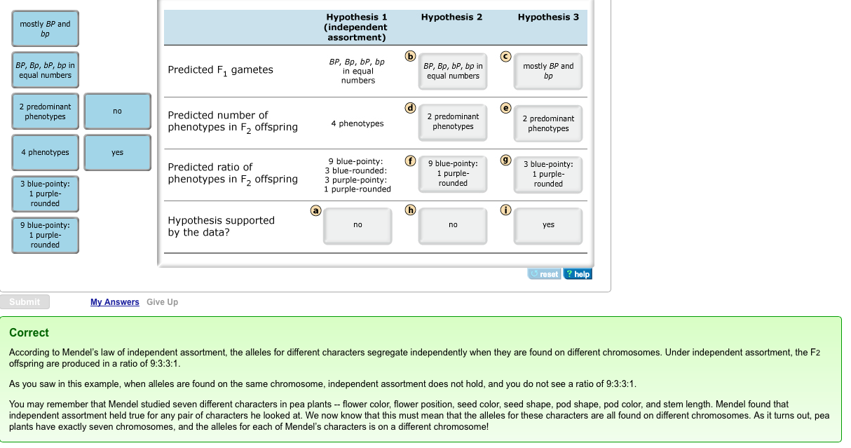 Mastering Biology Ch. 15 & 16 1C