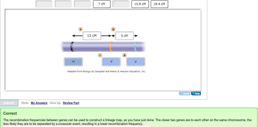 Mastering Bio Ch 15 & 16: 3C