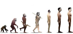 evolution