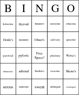 bingo