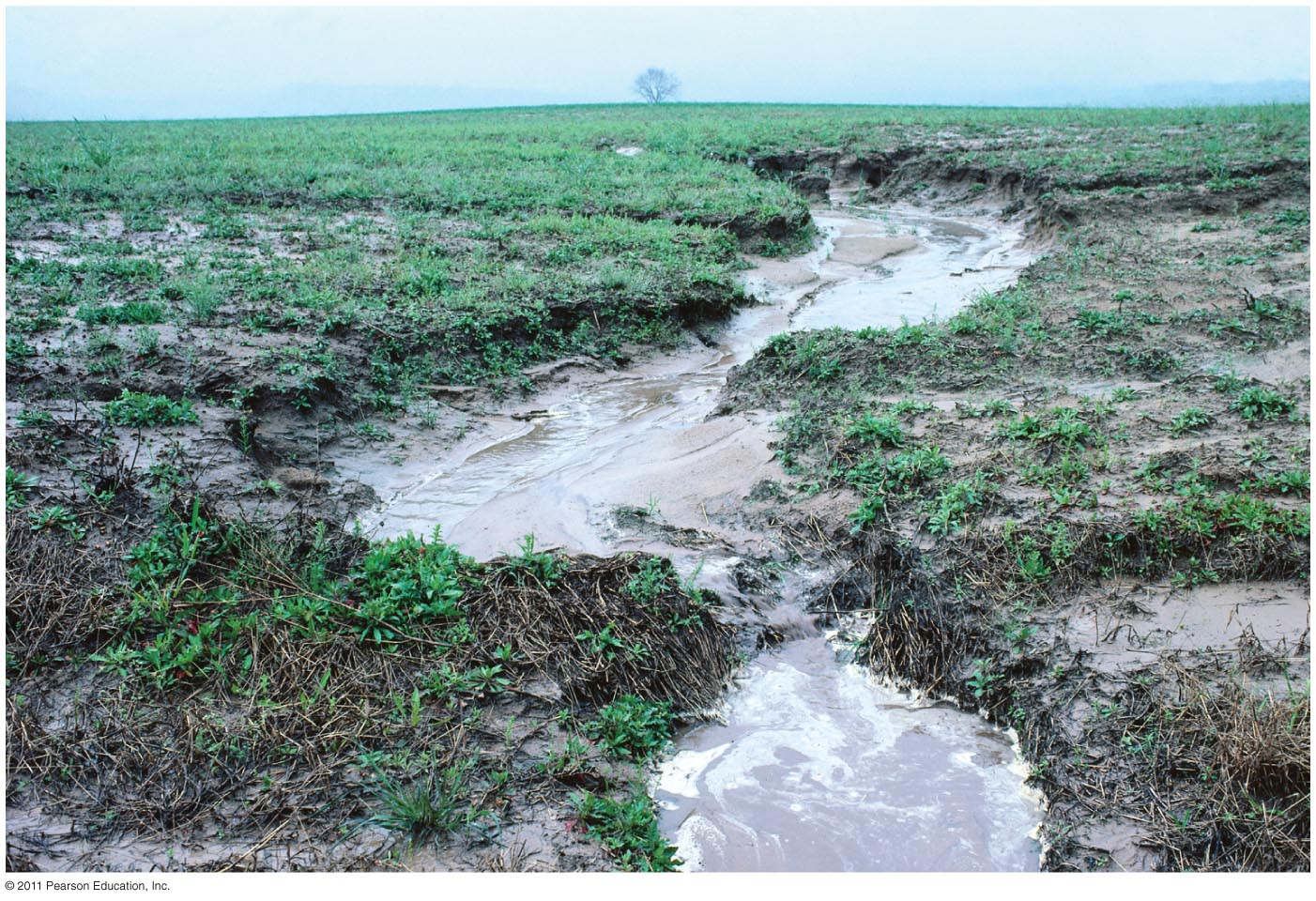 Farming Practices Influence Runoff and Sedimentation