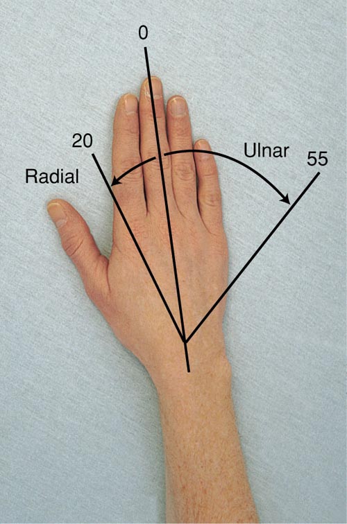 Range of Motion of the Wrist and Hand Joints, Radial and Ulnar Deviation of the Wrist