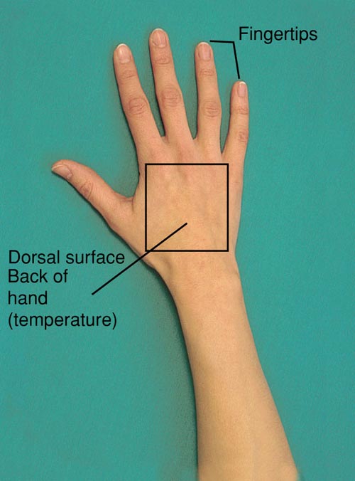 Parts of the Hand Used in Palpation; Ulnar Surface