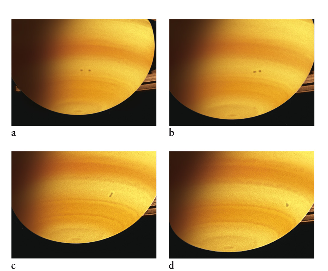 Merging Storms on Saturn