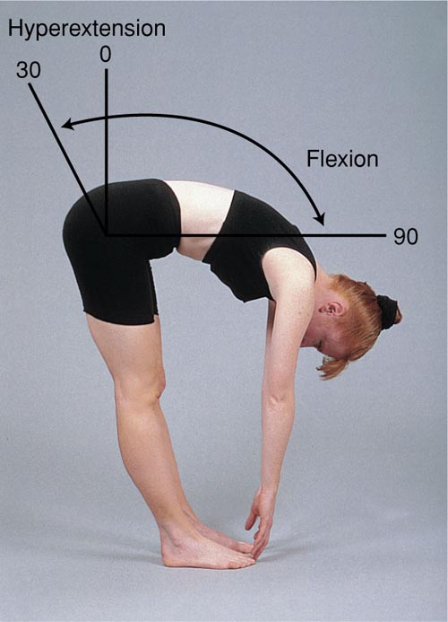 Range of Motion of the Spine, Flexion and Hyperextension