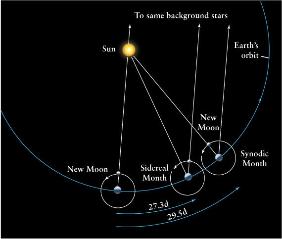 The Sidereal and Synodic Months