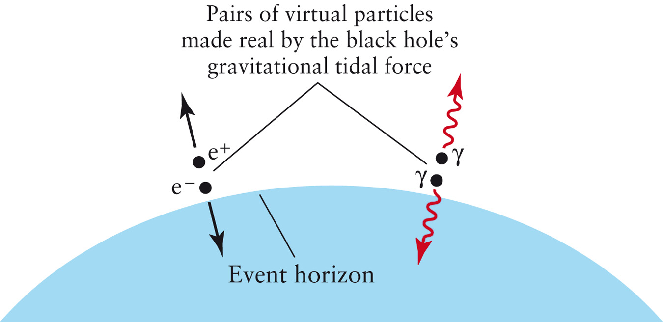 Evaporation of a Black Hole