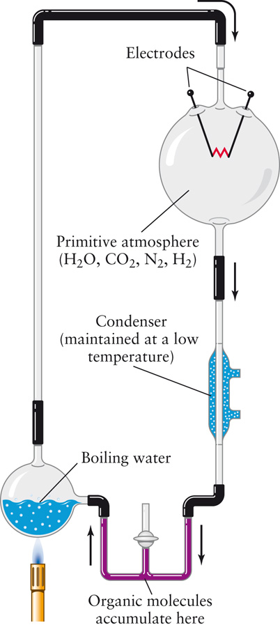 Miller-Urey Experiment Updated