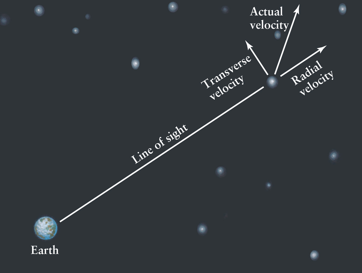 Radial and Transverse Velocities of a Star