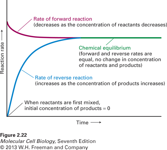 Time dependence of the rates of a chemical reaction