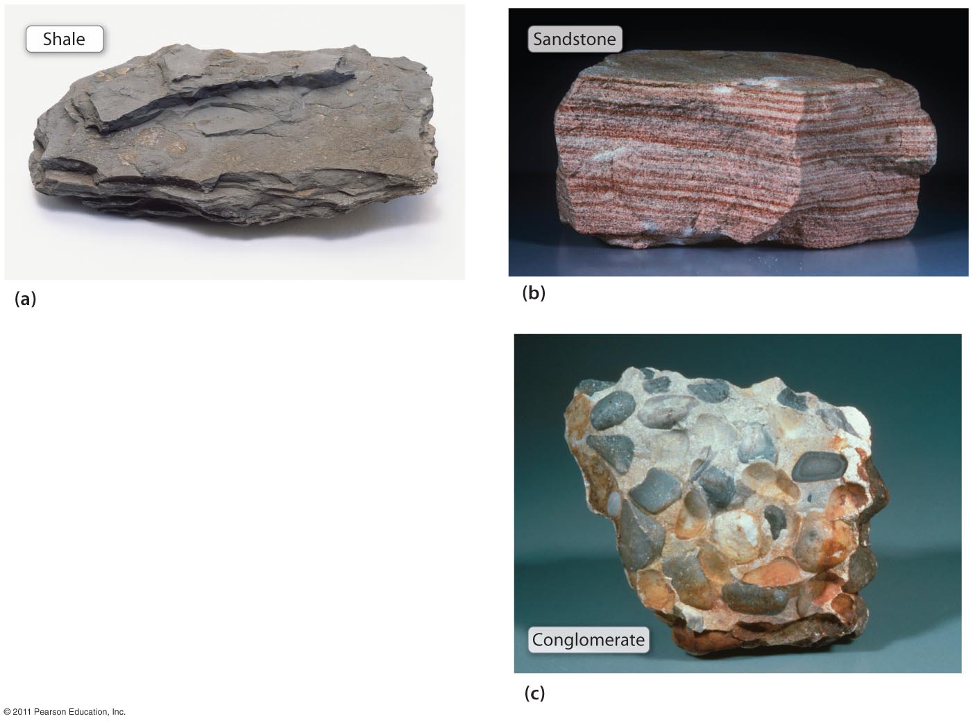 Clastic Sedimentary Rocks