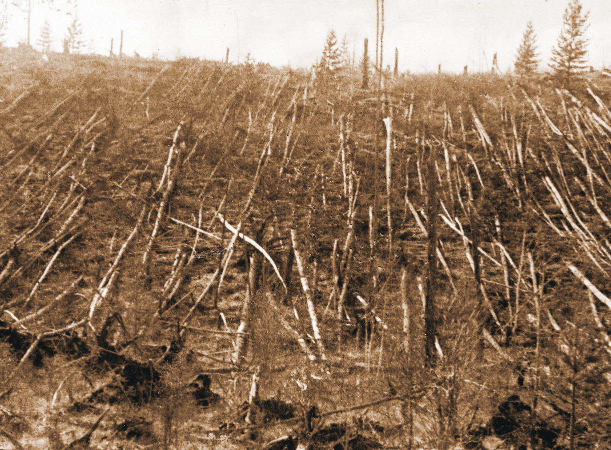 Aftermath of the Tunguska Event