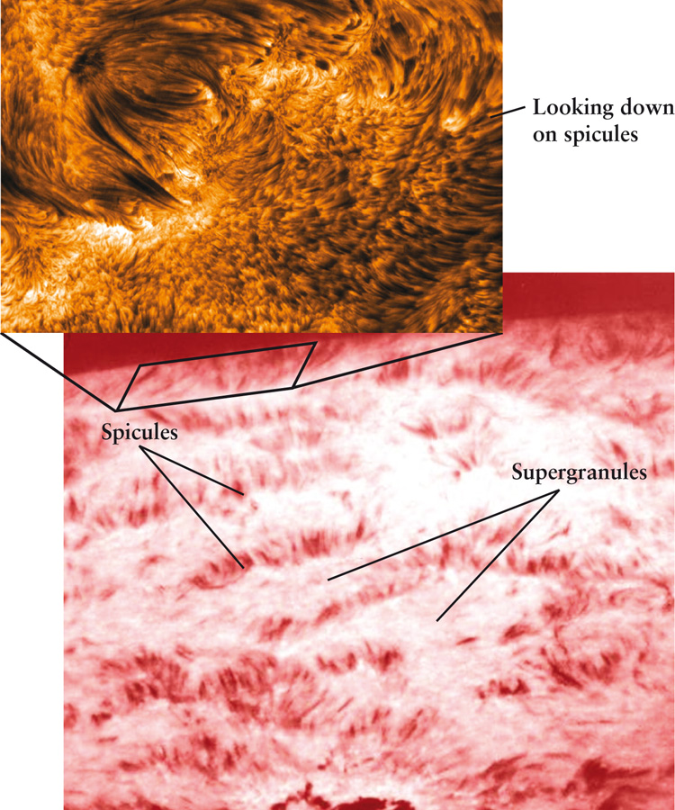 Spicules and Supergranules