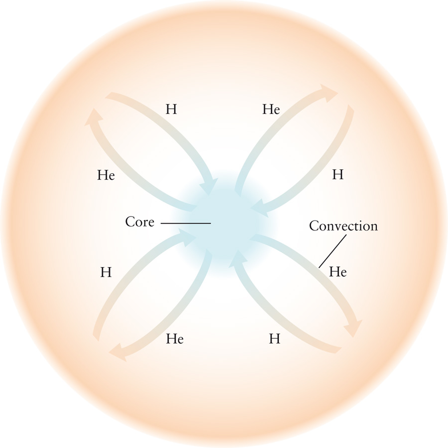 Fully Convective Star