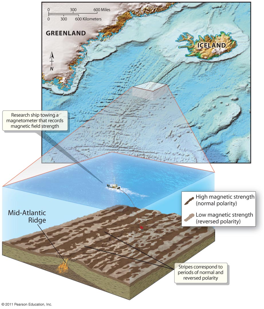 Magnetism of the Ocean Crust