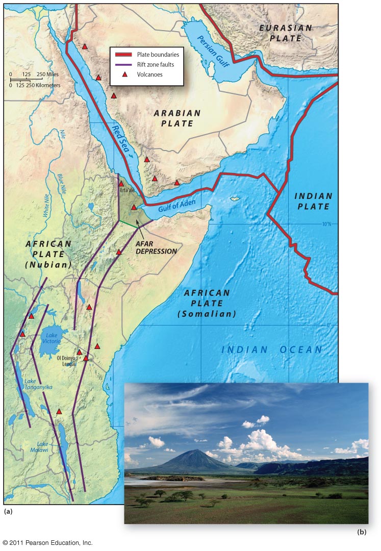 East Africa-Arabia: An Example of Modern Rifting