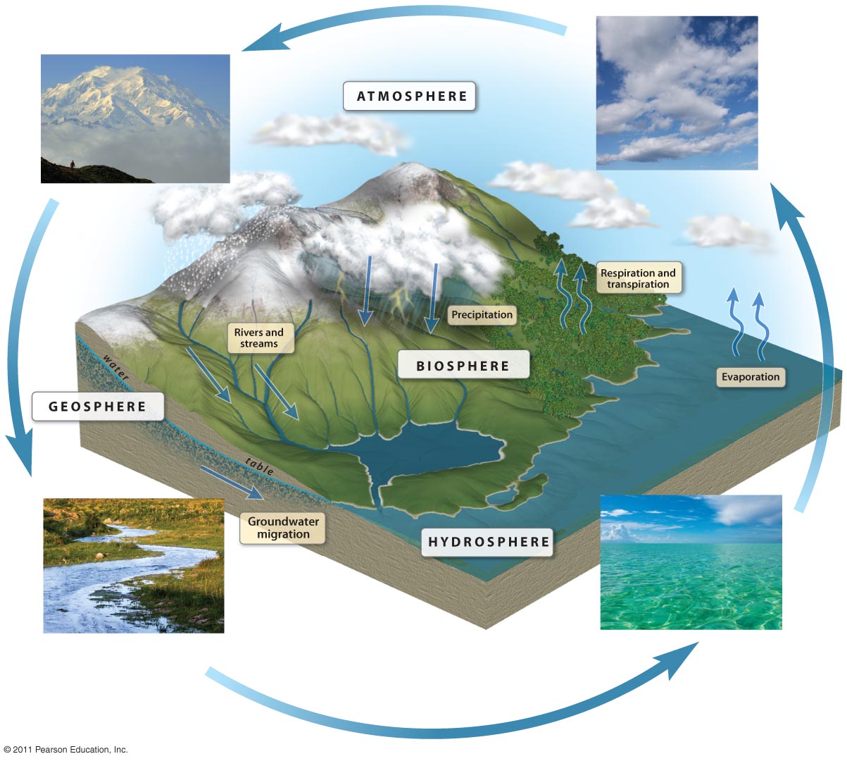 The Water Cycle