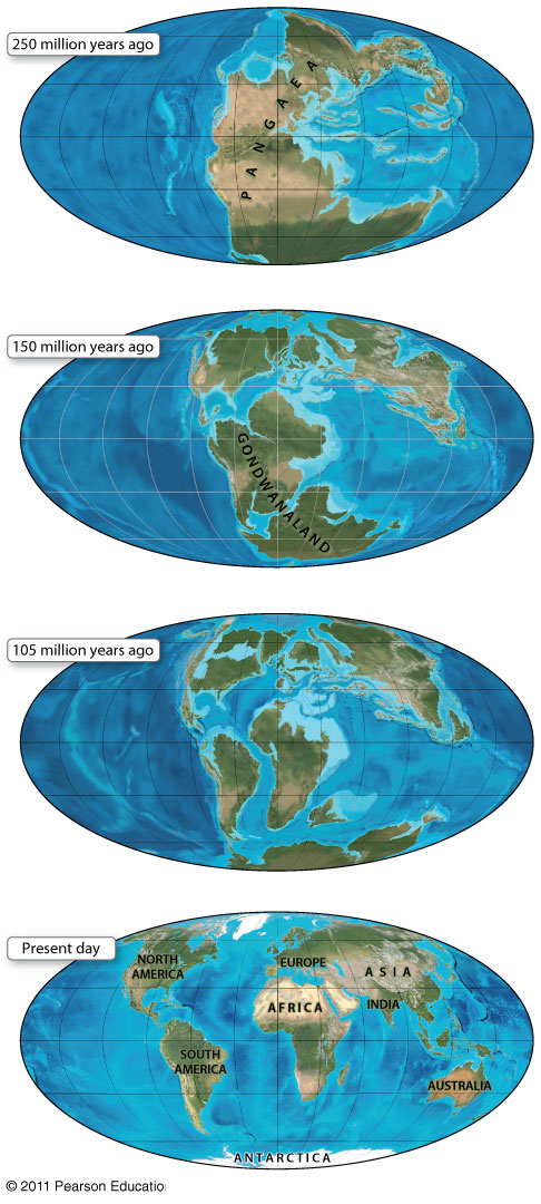 The Supercontinent Pangaea