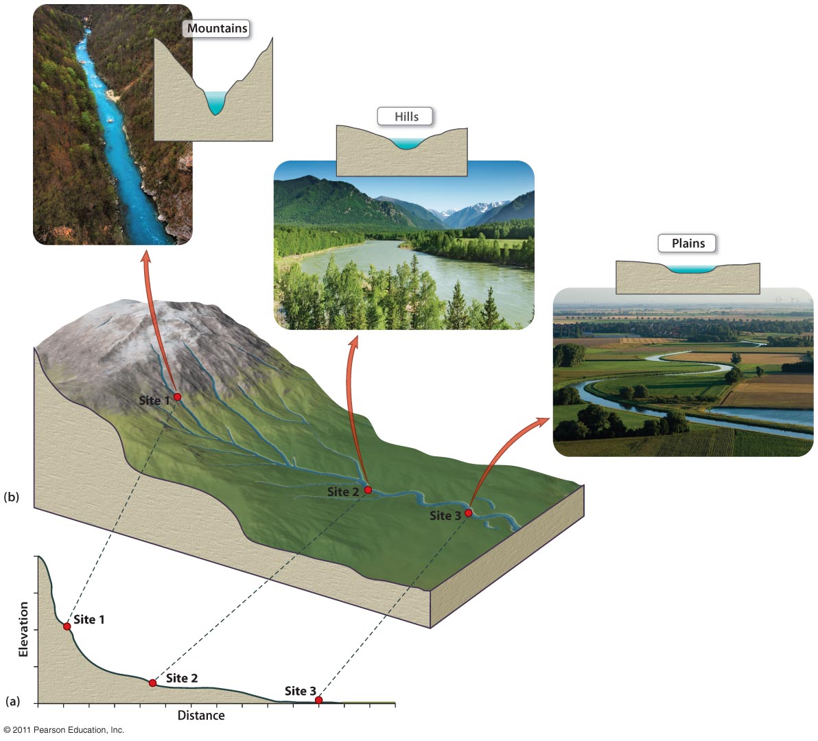 Longitudinal Profile of a River