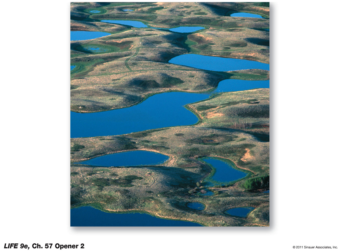 Prairie Potholes