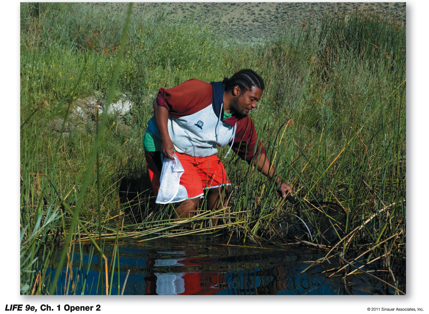 A Biologist at Work