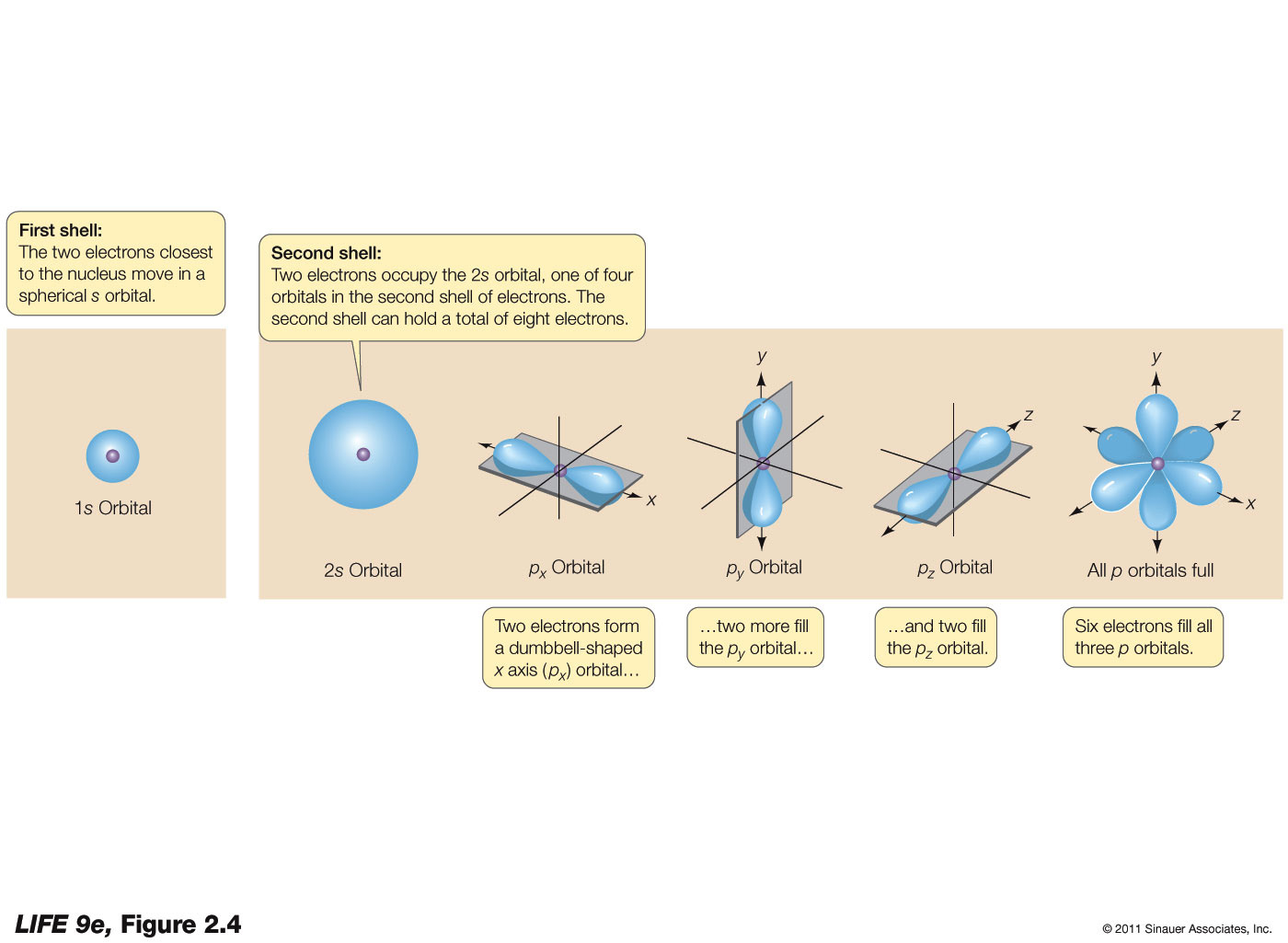 Electron Shells and Orbitals