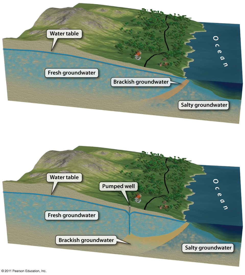 Saltwater Intrusion