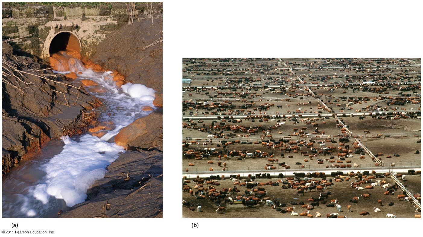 Point Sources of Pollution