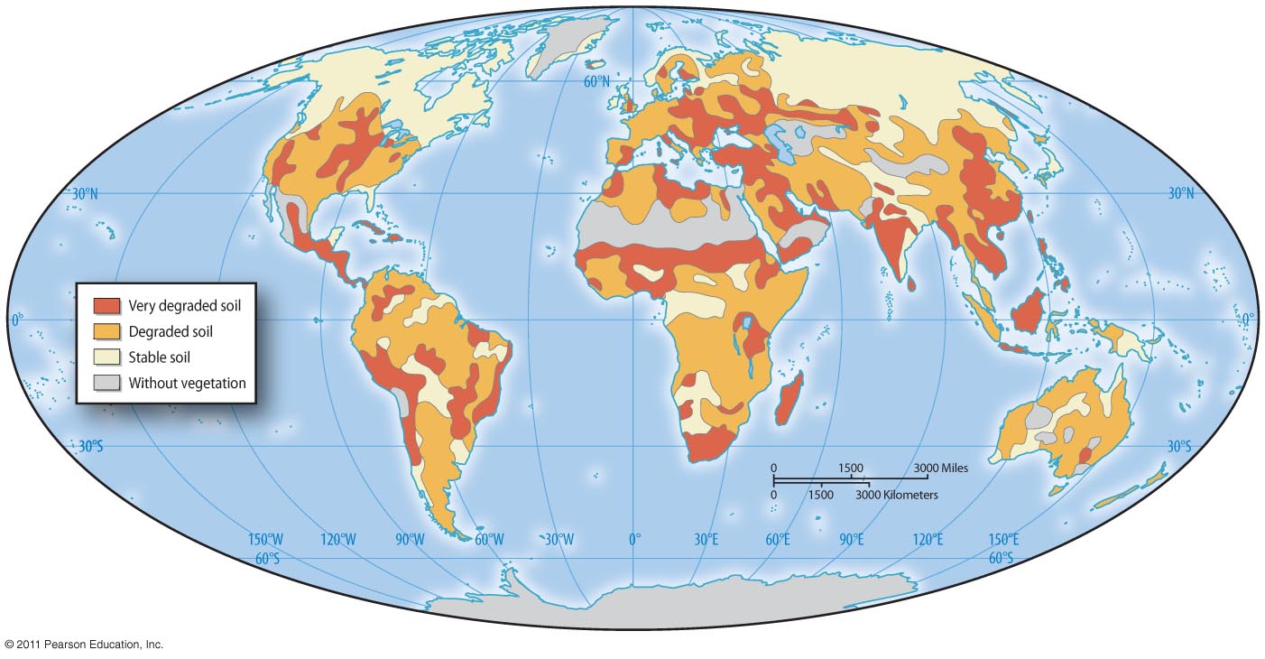 Soil Degradation and Loss