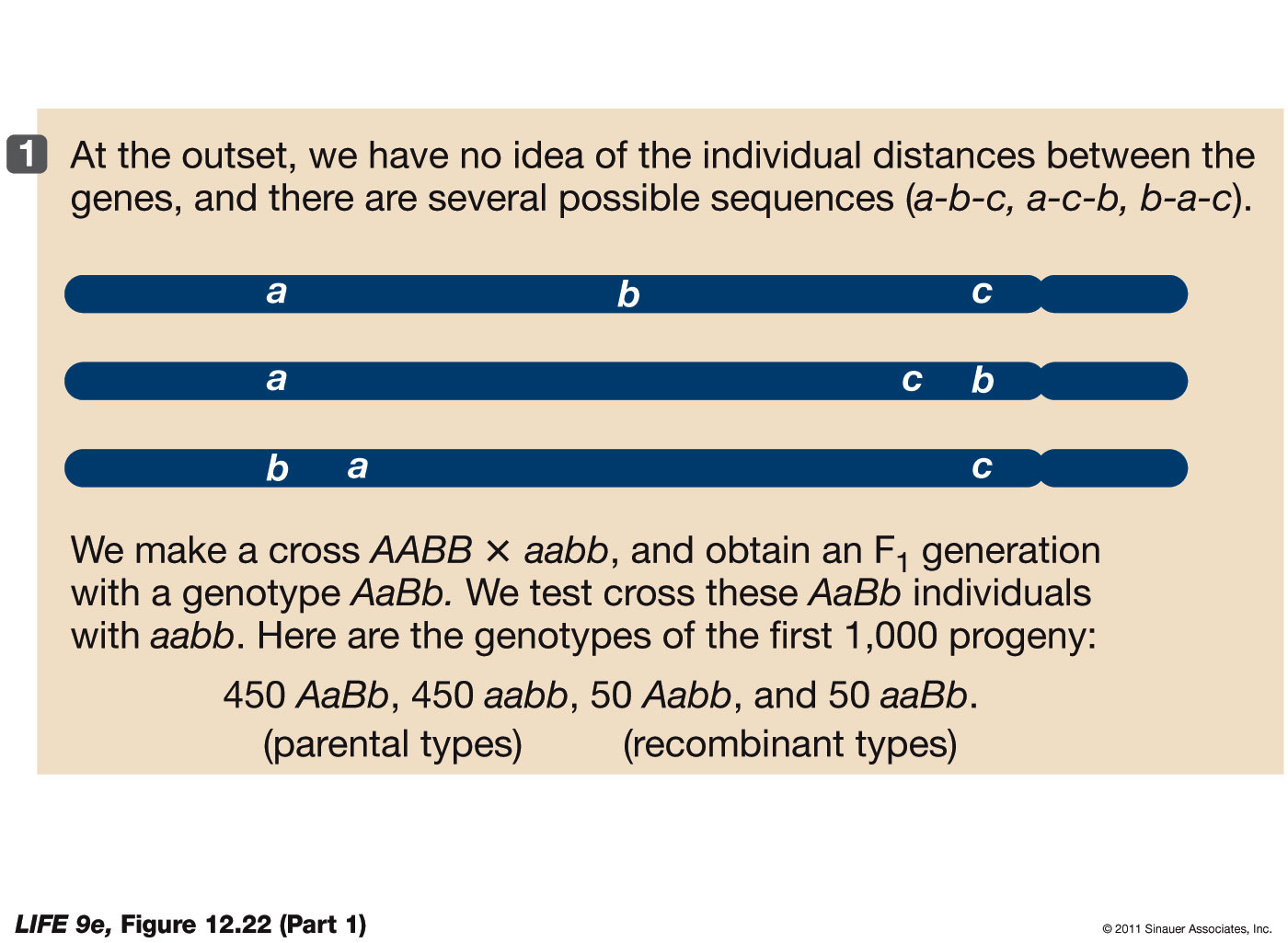 Map These Genes (Part 1)