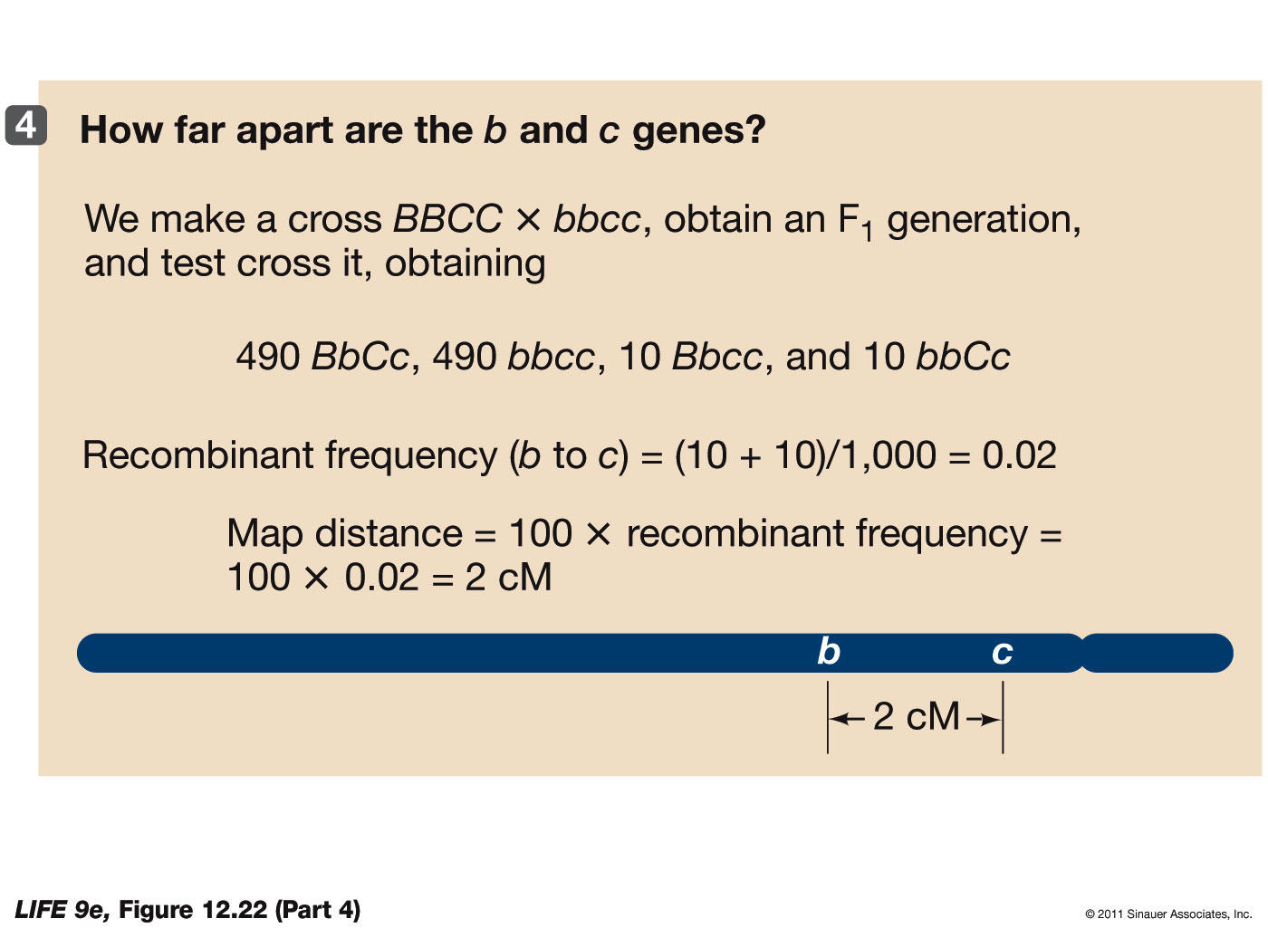 Map These Genes (Part 4)