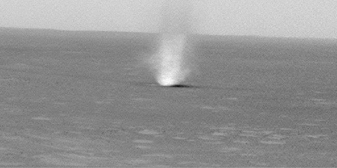 Martian Dust Devil