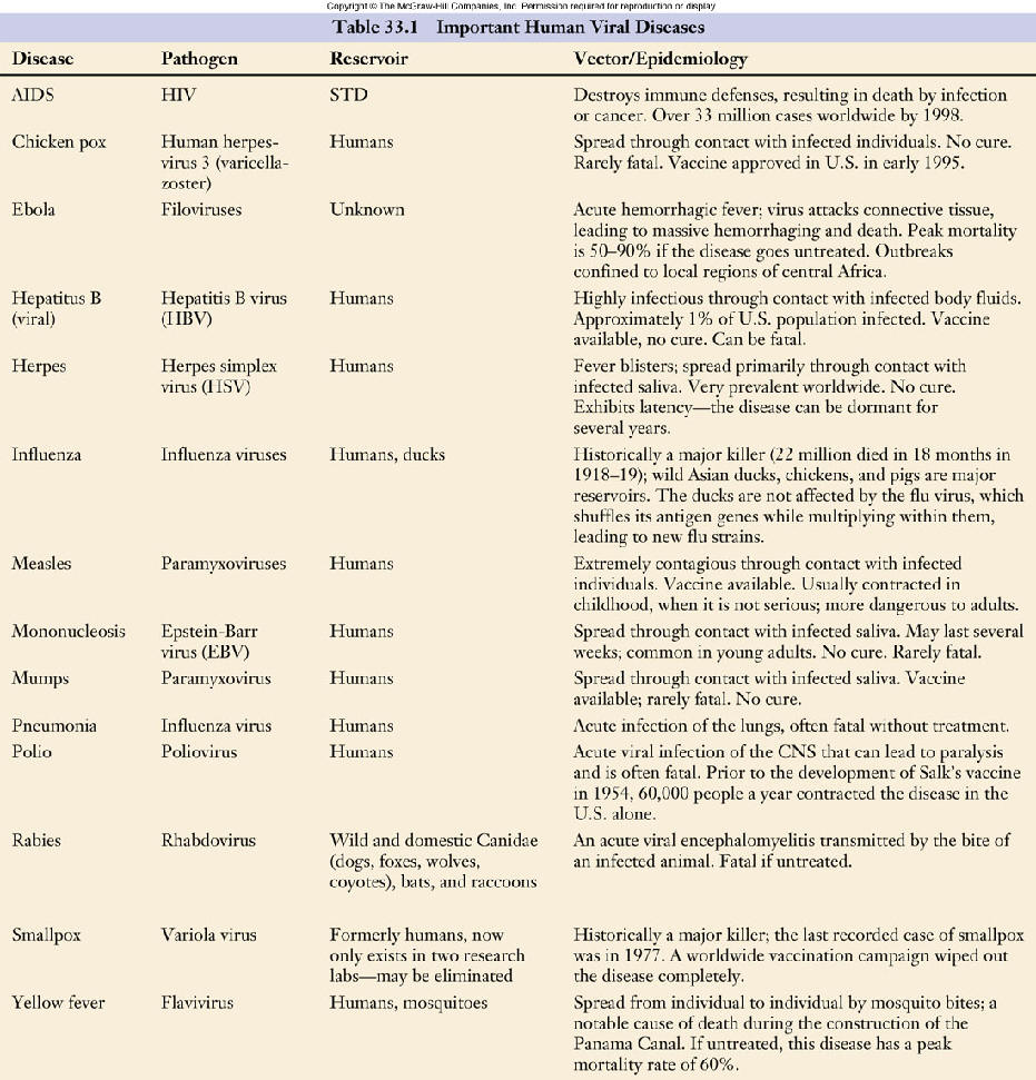 Important Human Viral Table