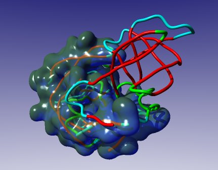 biochem protein