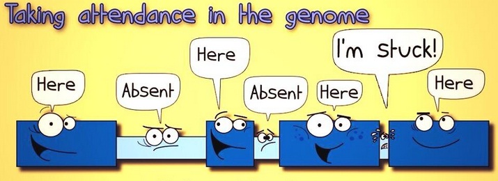 Taking attendance in the genome