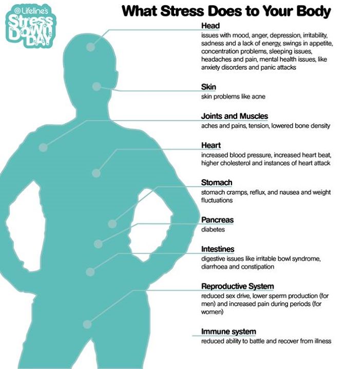 What stress does to your body