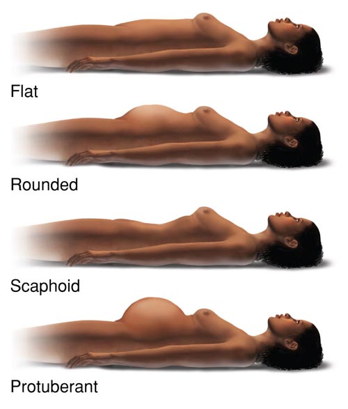 Abdominal Configurations