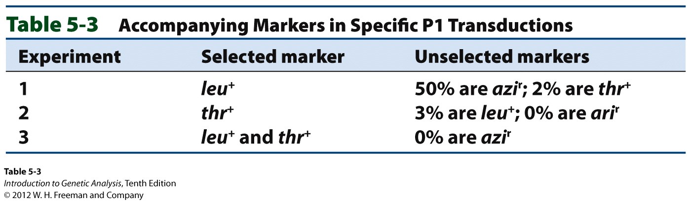 Accompanying Markers in Specific P1 Transductions