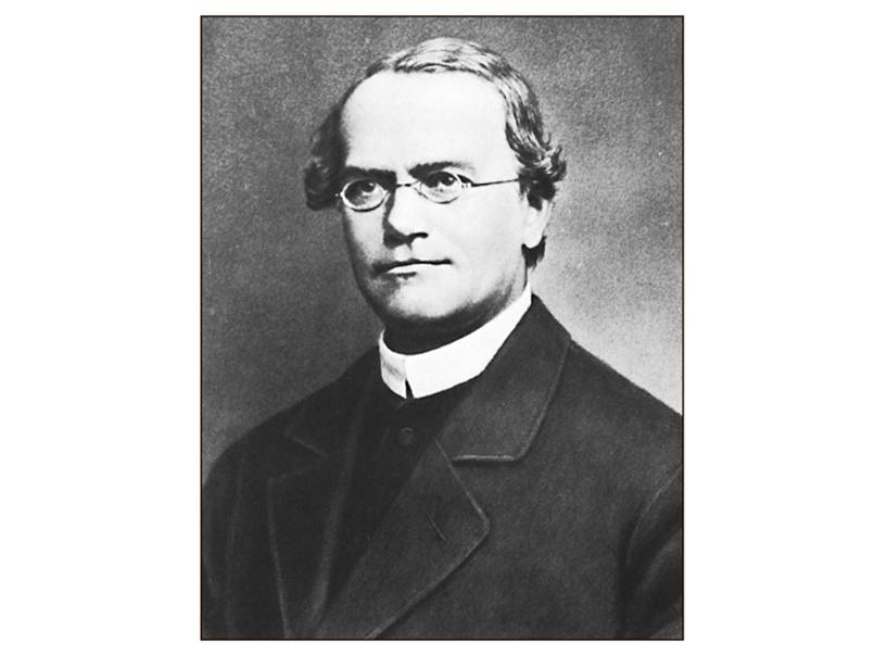 Gregor Mendel