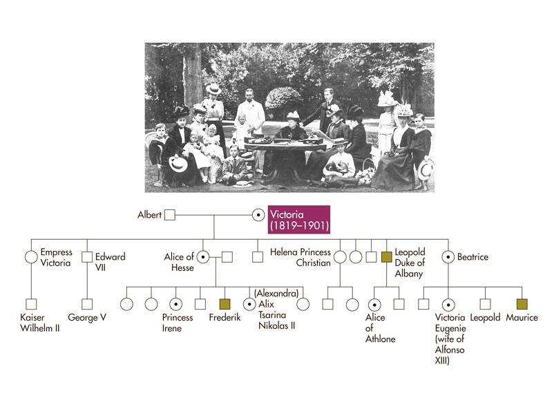 Queen Victoria and her family, and a pedigree showing the transmission of hemophilia in the British 