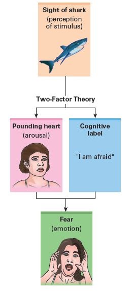 The Two-Factor Theory of Emotion