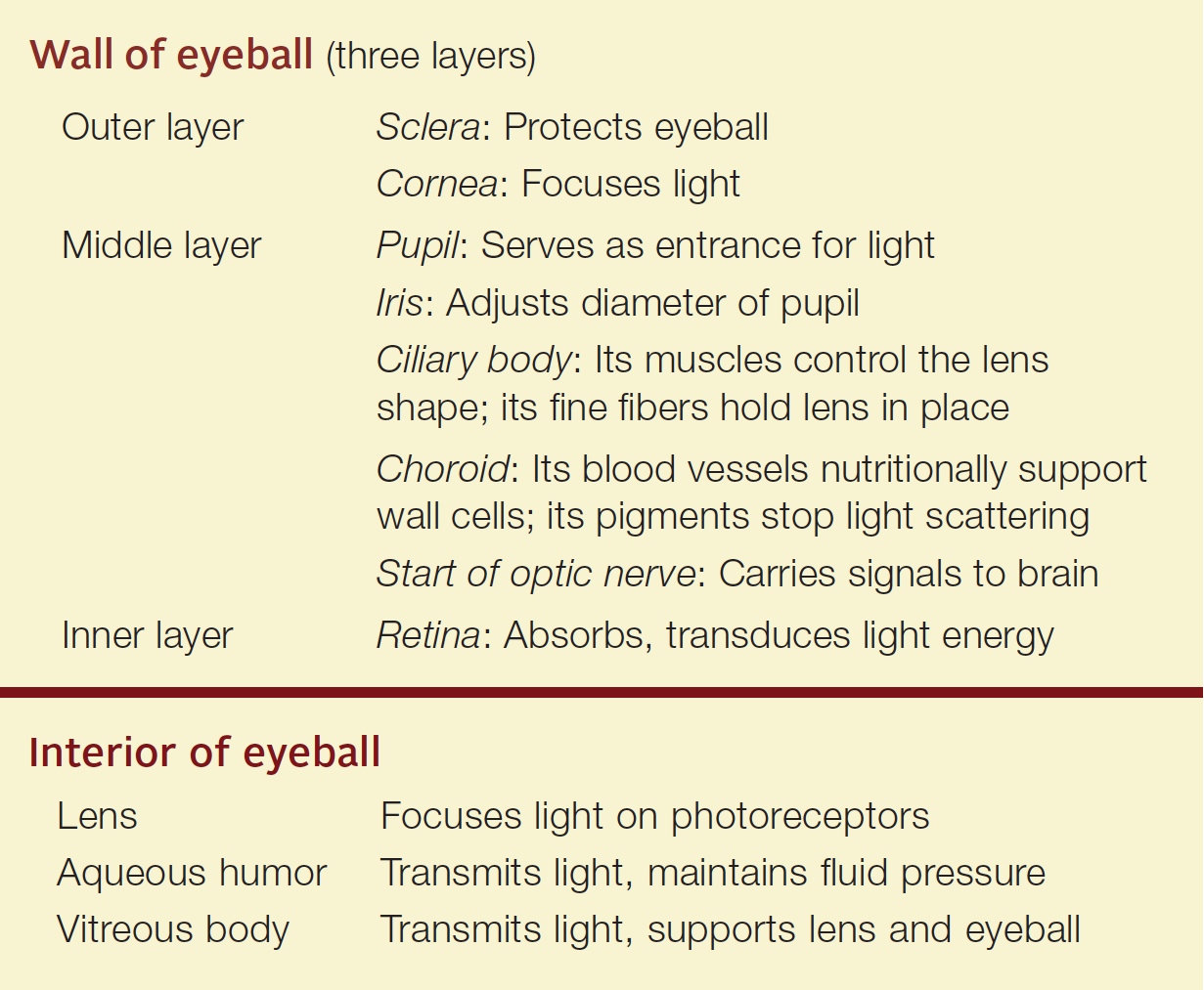 Eye layers