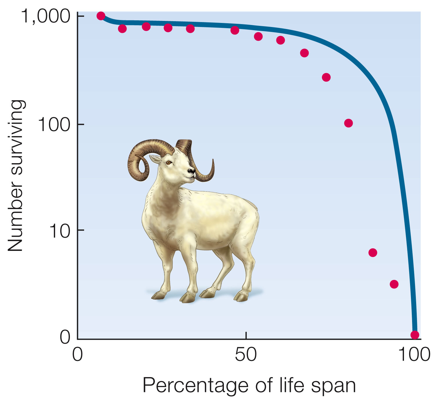 Survivorship curves.