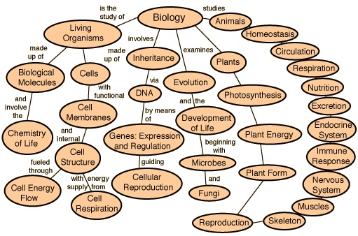 biology comcepts