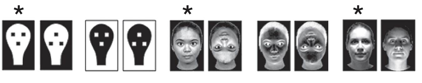 Preference of Newborn Babies for Viewing Stimuli That Resemble Faces 