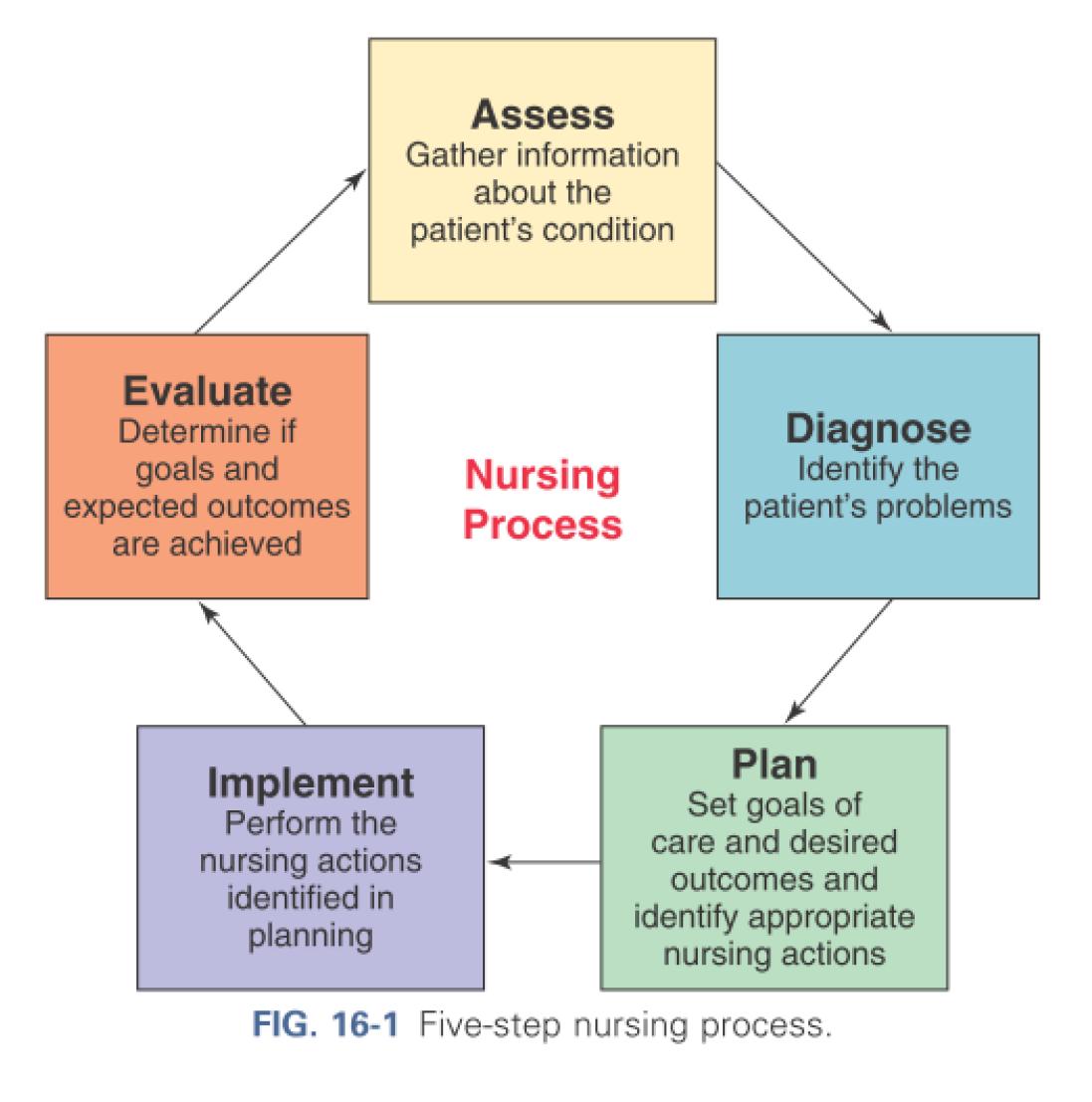 Five step nursing process