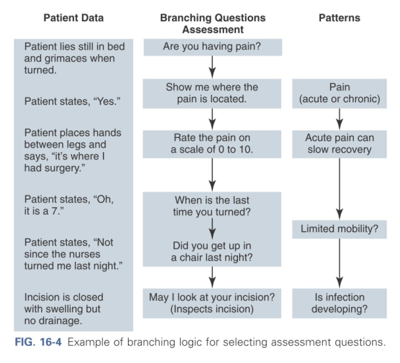 Branching logic for assessment