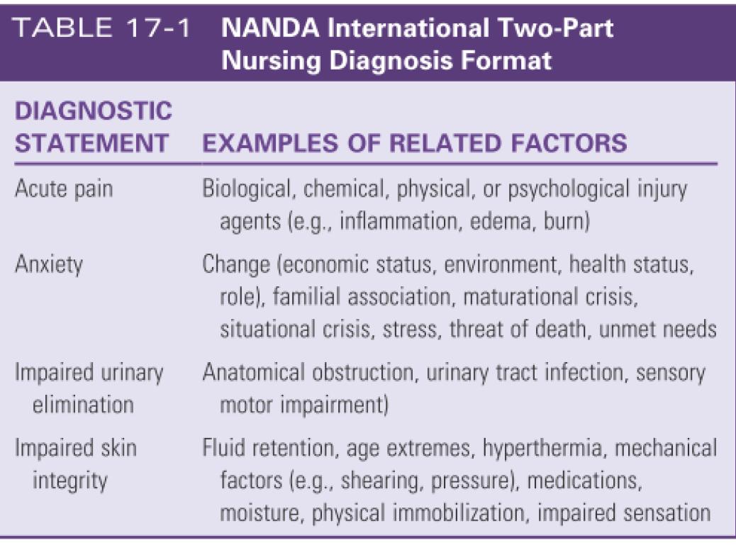 NANDA international two part format